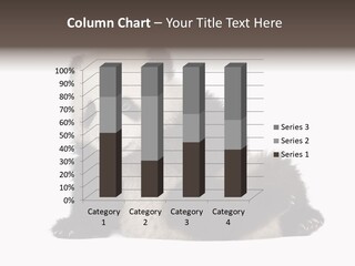 Conservation Wild China PowerPoint Template