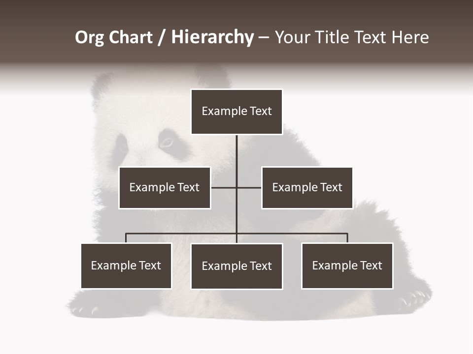Conservation Wild China PowerPoint Template