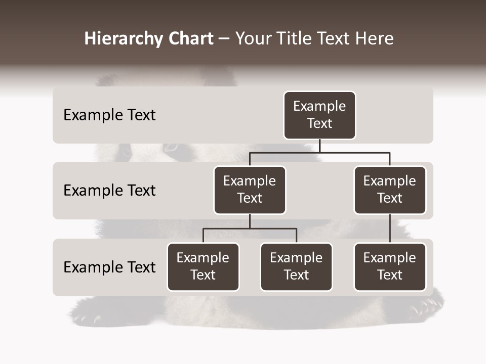 Conservation Wild China PowerPoint Template