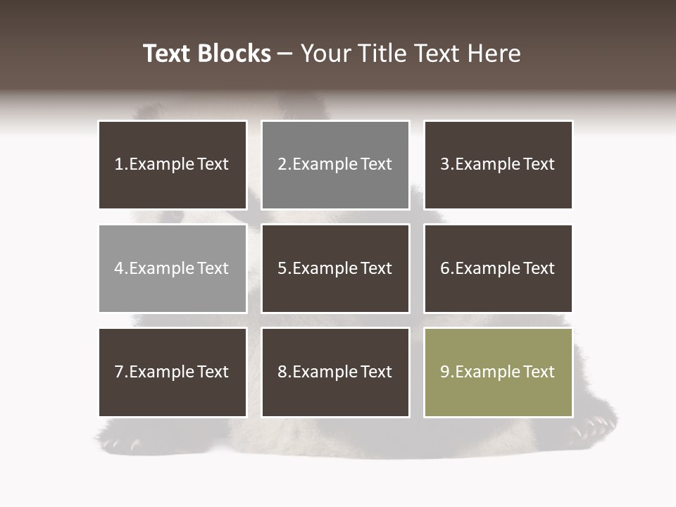 Conservation Wild China PowerPoint Template