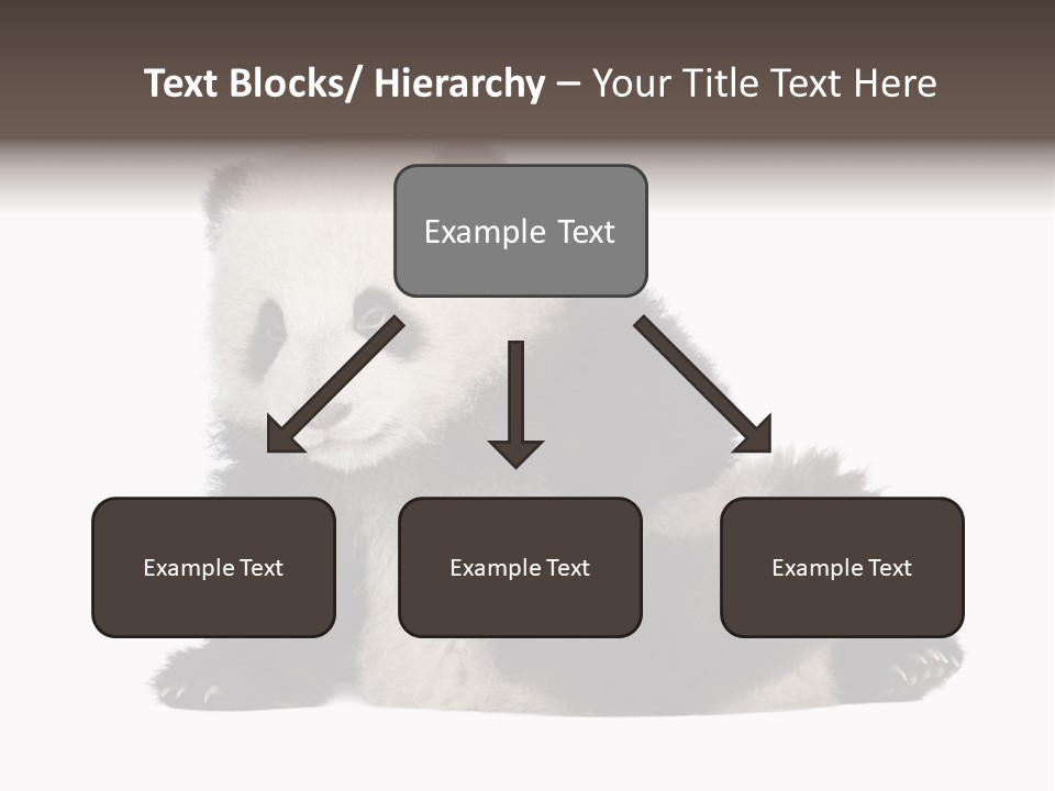 Conservation Wild China PowerPoint Template