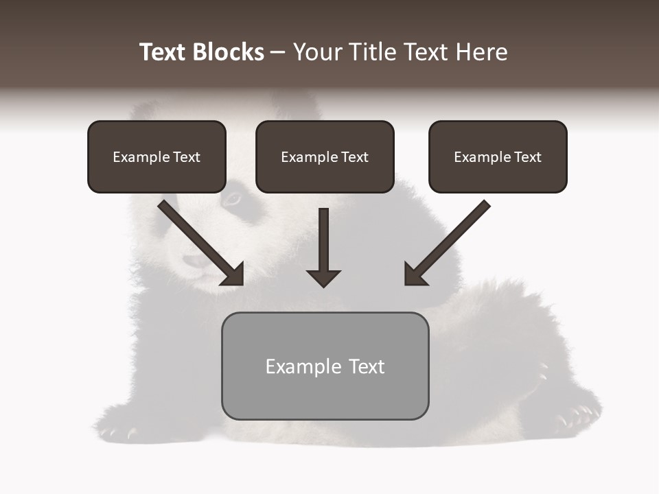 Conservation Wild China PowerPoint Template