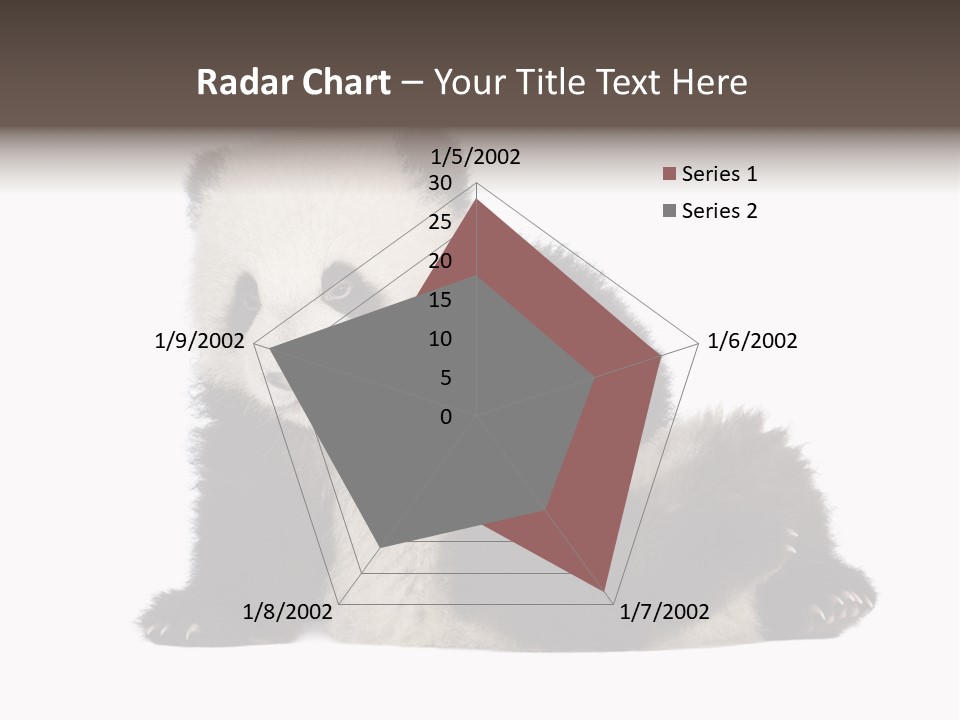 Conservation Wild China PowerPoint Template