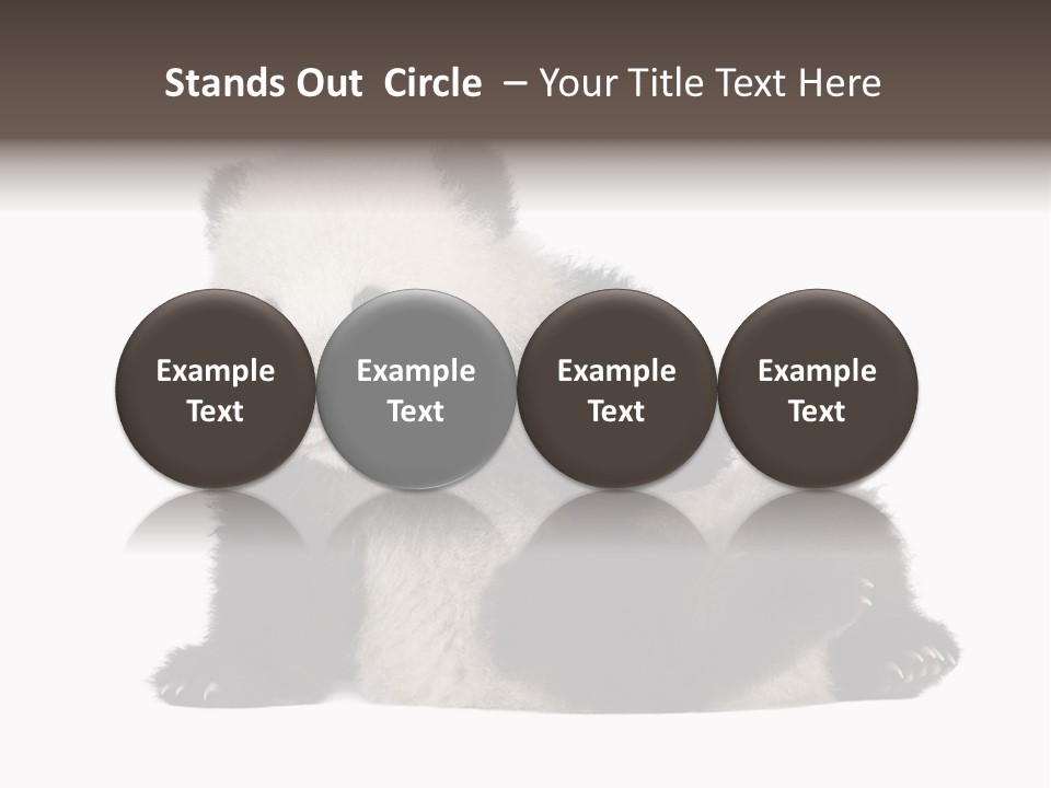 Conservation Wild China PowerPoint Template