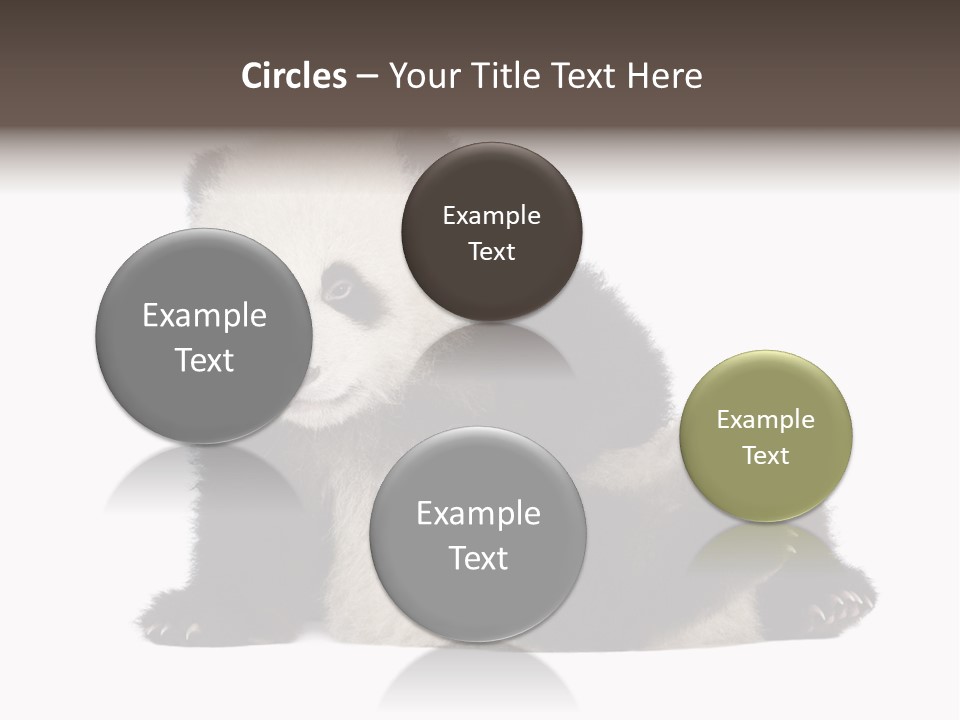 Conservation Wild China PowerPoint Template