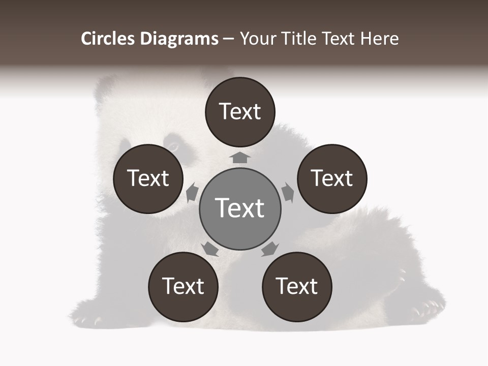 Conservation Wild China PowerPoint Template