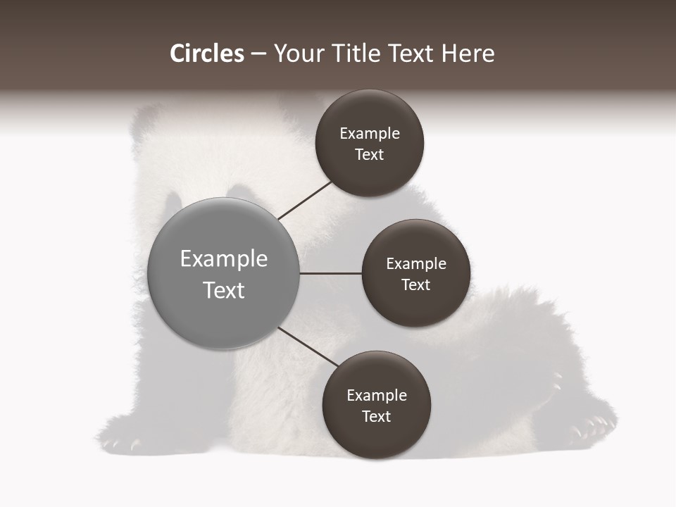 Conservation Wild China PowerPoint Template