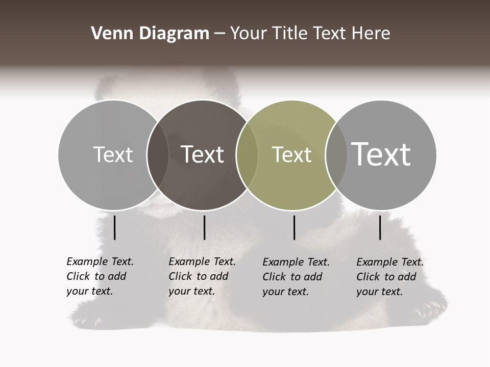 Conservation Wild China PowerPoint Template