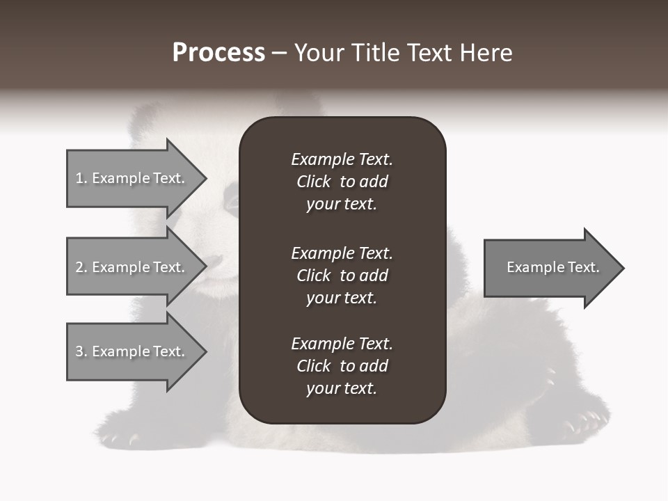 Conservation Wild China PowerPoint Template