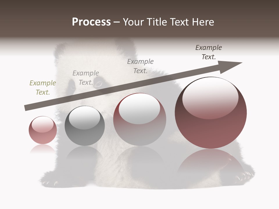 Conservation Wild China PowerPoint Template