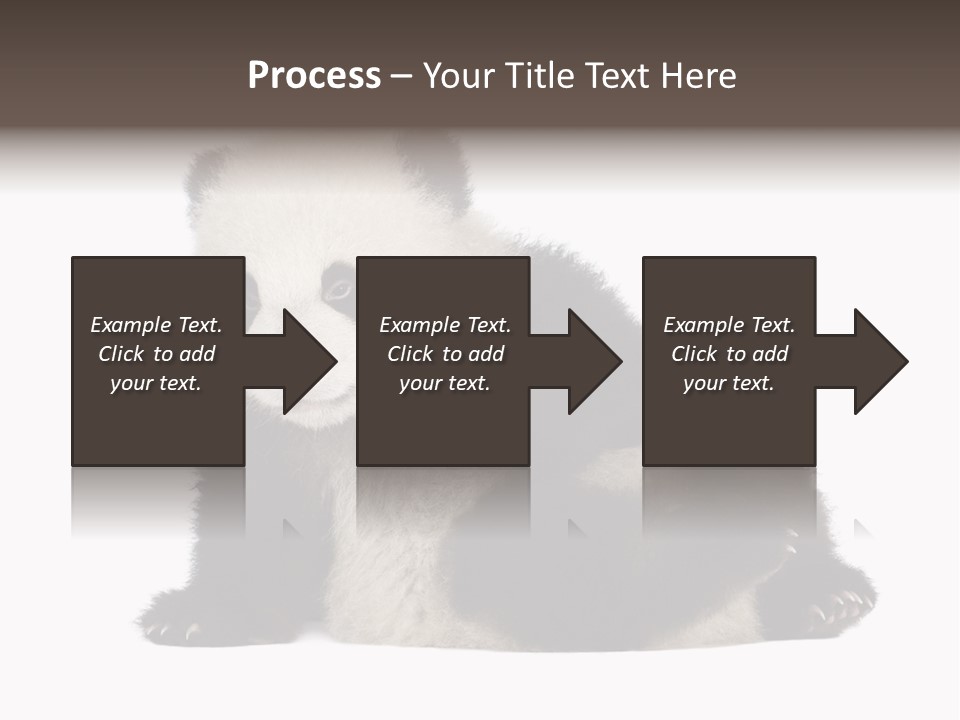 Conservation Wild China PowerPoint Template