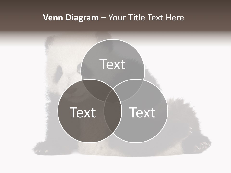 Conservation Wild China PowerPoint Template