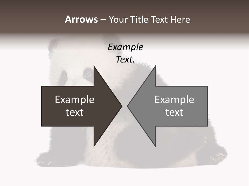 Conservation Wild China PowerPoint Template