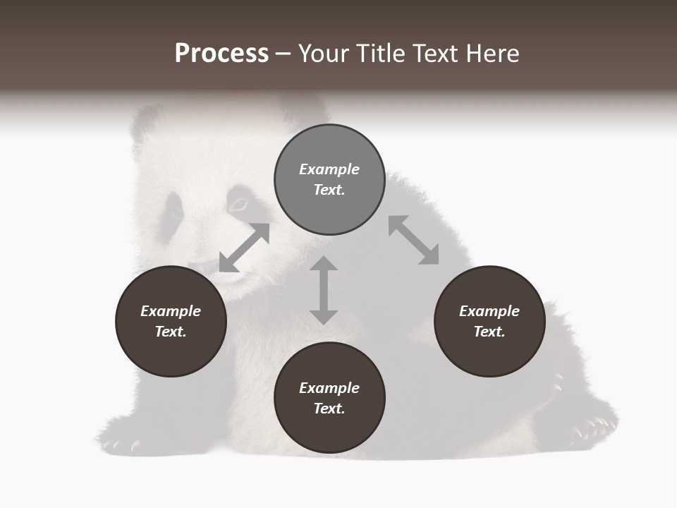 Conservation Wild China PowerPoint Template