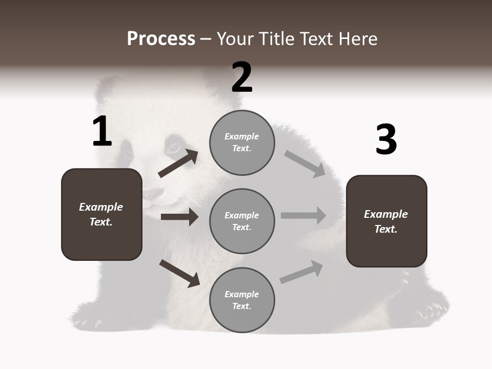 Conservation Wild China PowerPoint Template