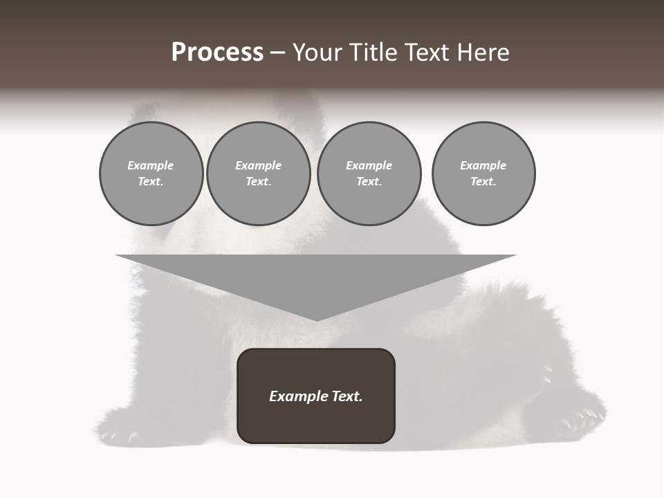 Conservation Wild China PowerPoint Template