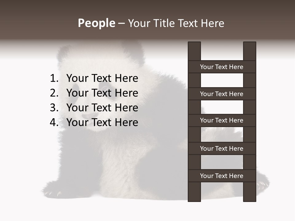 Conservation Wild China PowerPoint Template