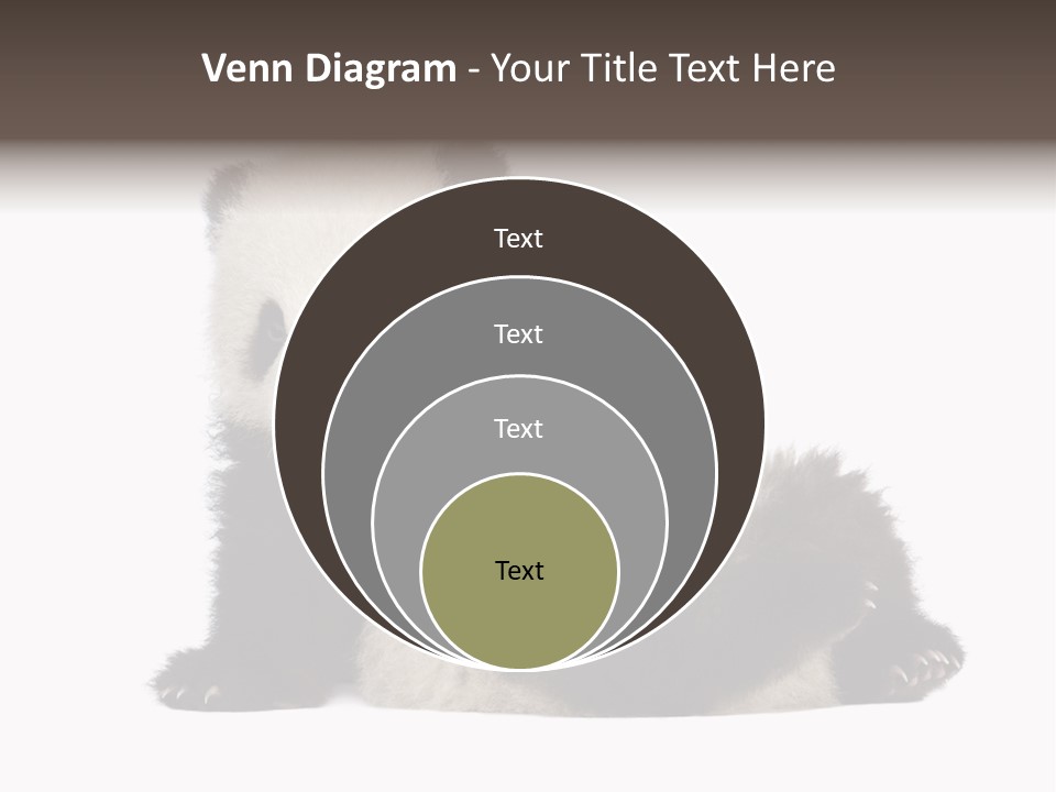 Conservation Wild China PowerPoint Template