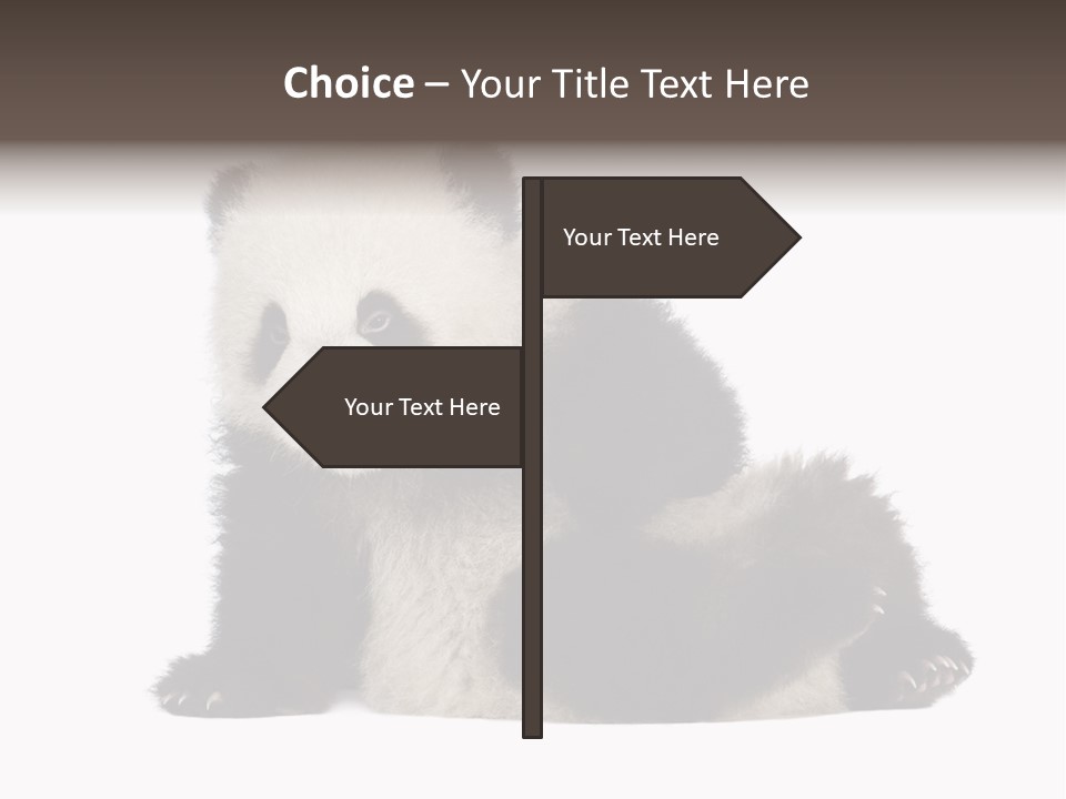 Conservation Wild China PowerPoint Template