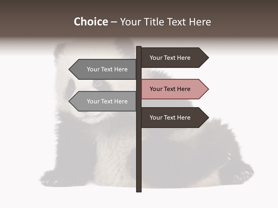Conservation Wild China PowerPoint Template