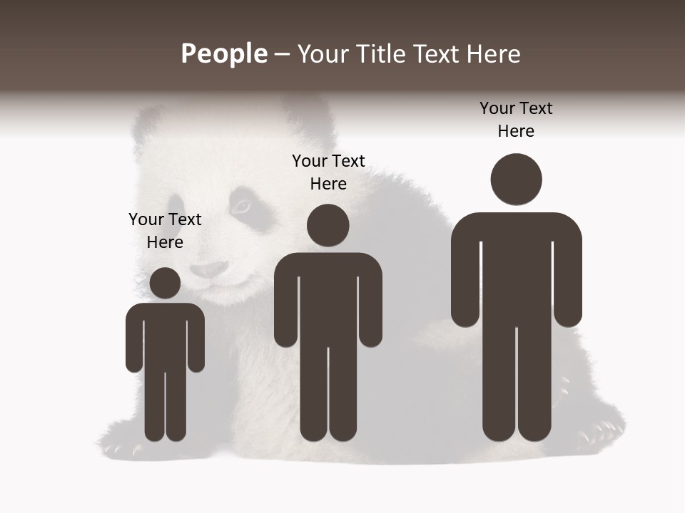 Conservation Wild China PowerPoint Template