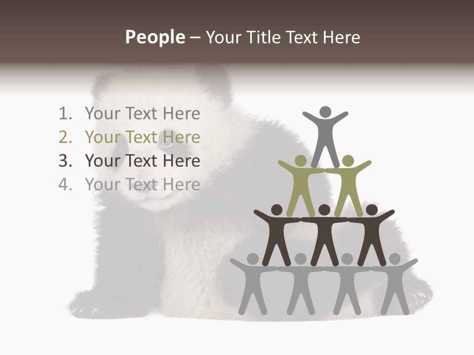 Conservation Wild China PowerPoint Template