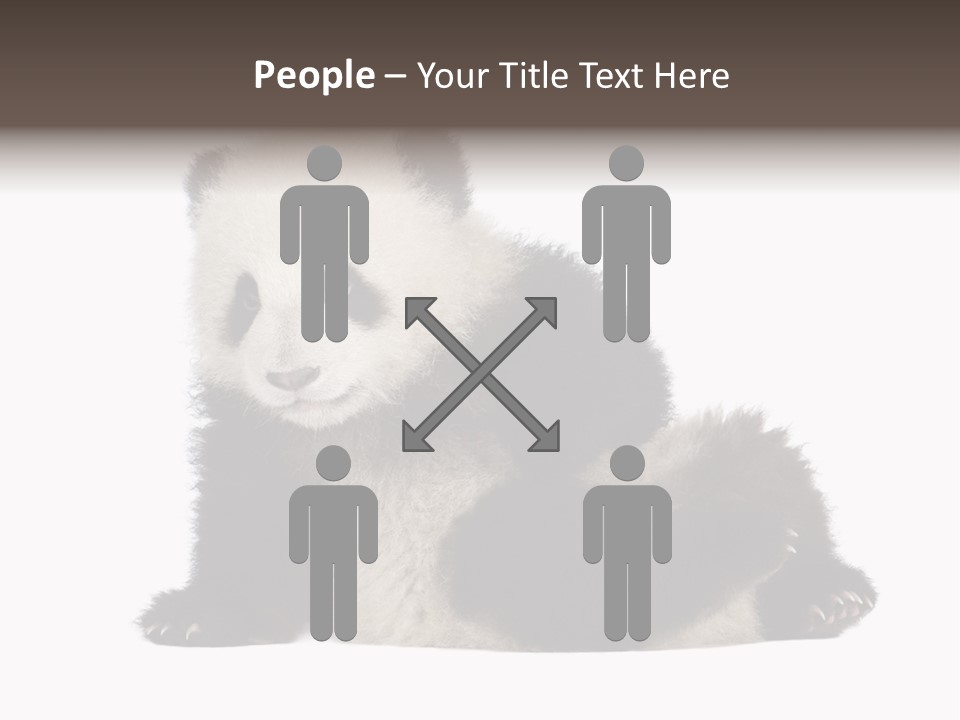 Conservation Wild China PowerPoint Template