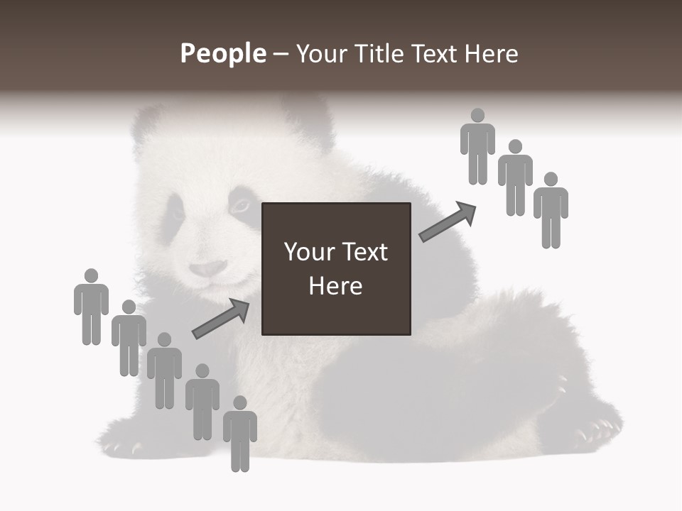 Conservation Wild China PowerPoint Template
