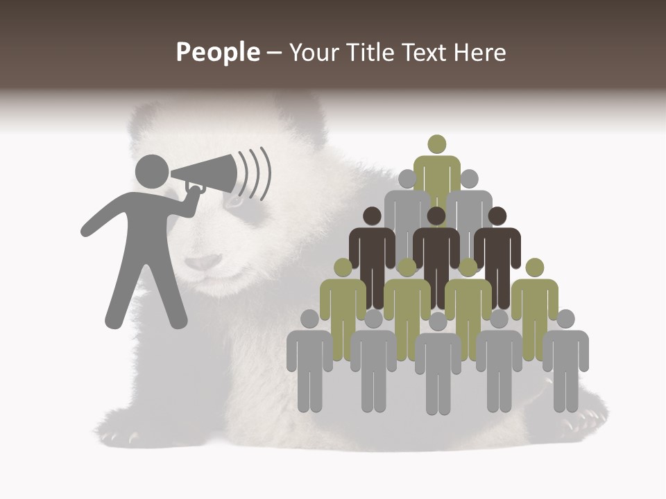 Conservation Wild China PowerPoint Template
