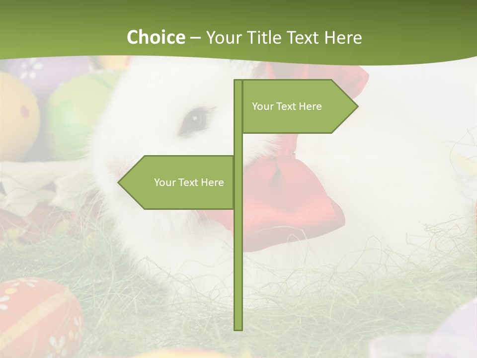 Domestic Holiday Adorable PowerPoint Template