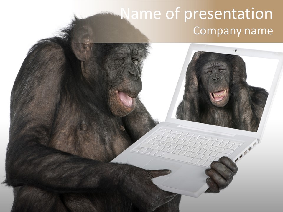 Thinking Smartness Experience PowerPoint Template