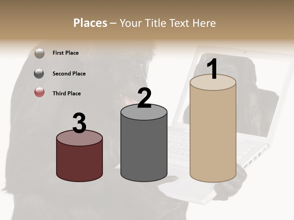 Thinking Smartness Experience PowerPoint Template