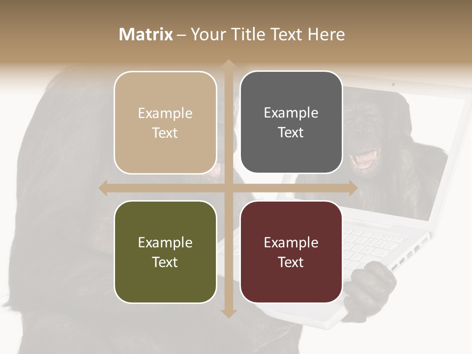 Thinking Smartness Experience PowerPoint Template