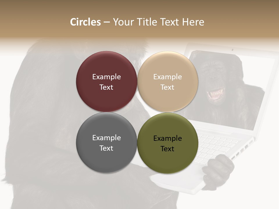 Thinking Smartness Experience PowerPoint Template