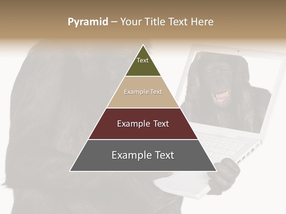 Thinking Smartness Experience PowerPoint Template