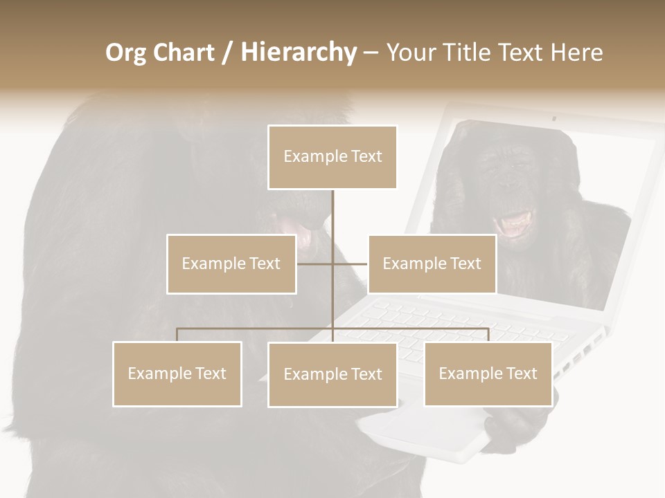 Thinking Smartness Experience PowerPoint Template