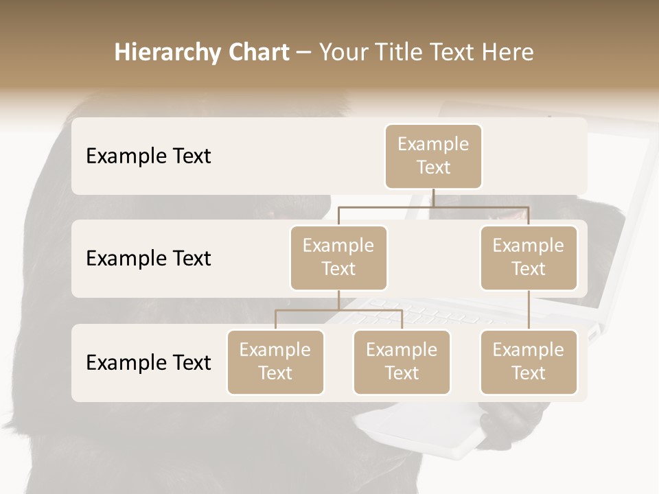Thinking Smartness Experience PowerPoint Template