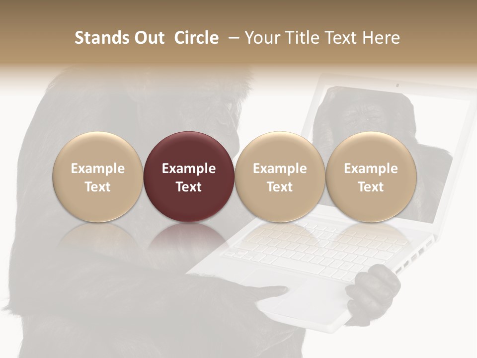 Thinking Smartness Experience PowerPoint Template