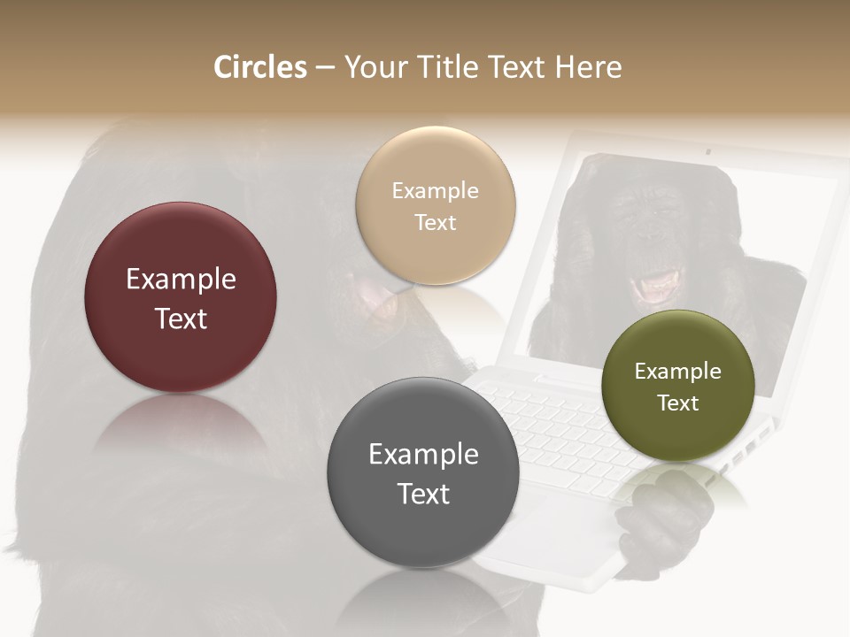 Thinking Smartness Experience PowerPoint Template