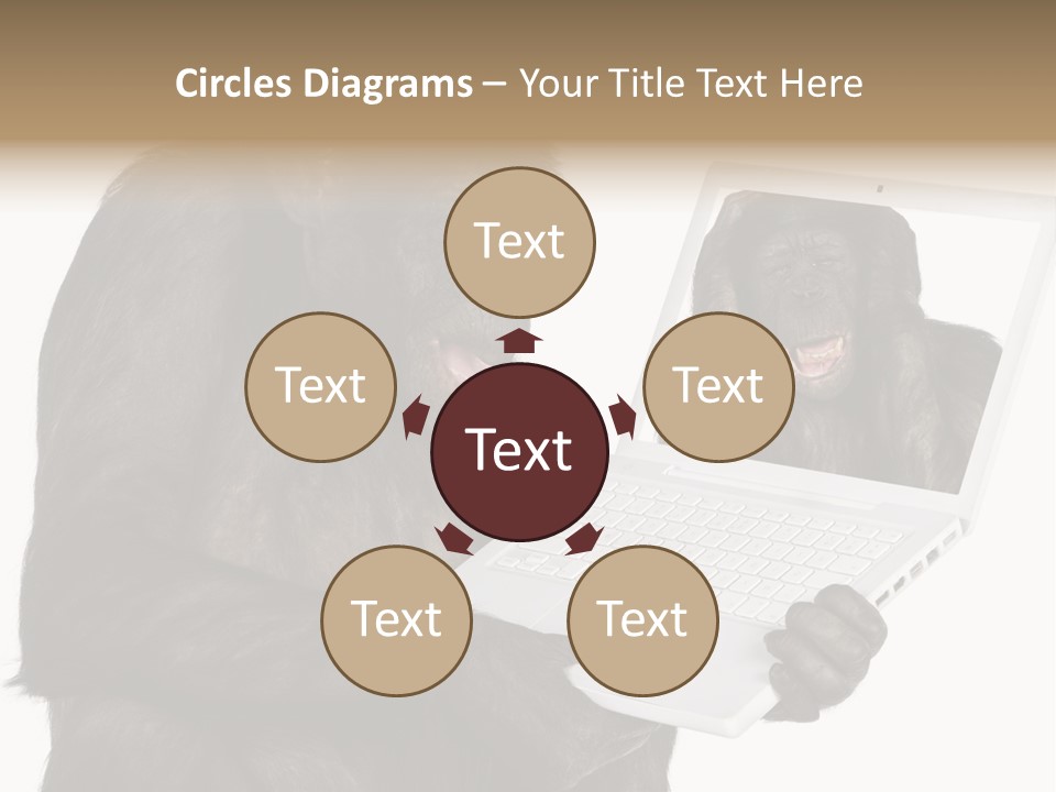 Thinking Smartness Experience PowerPoint Template