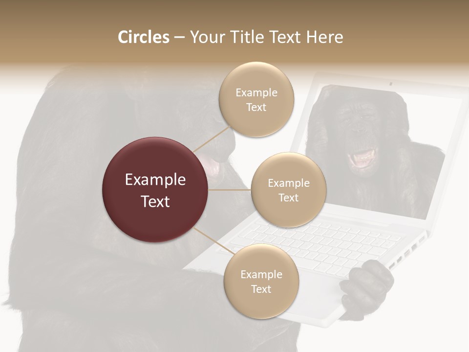 Thinking Smartness Experience PowerPoint Template