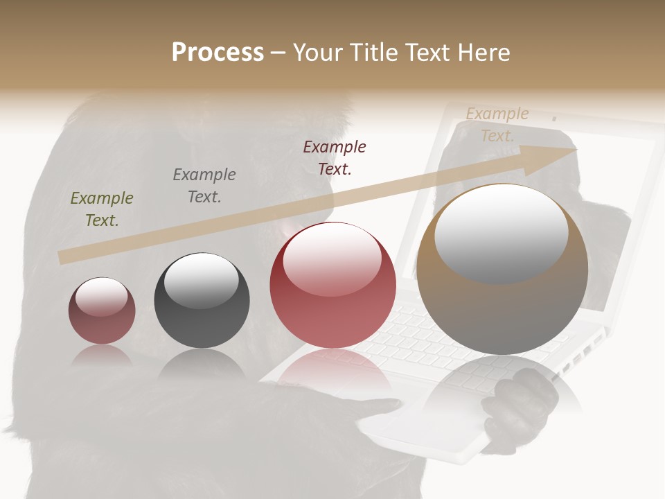 Thinking Smartness Experience PowerPoint Template