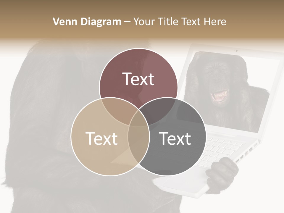 Thinking Smartness Experience PowerPoint Template