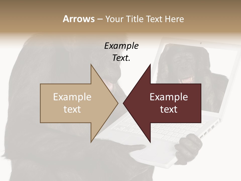 Thinking Smartness Experience PowerPoint Template