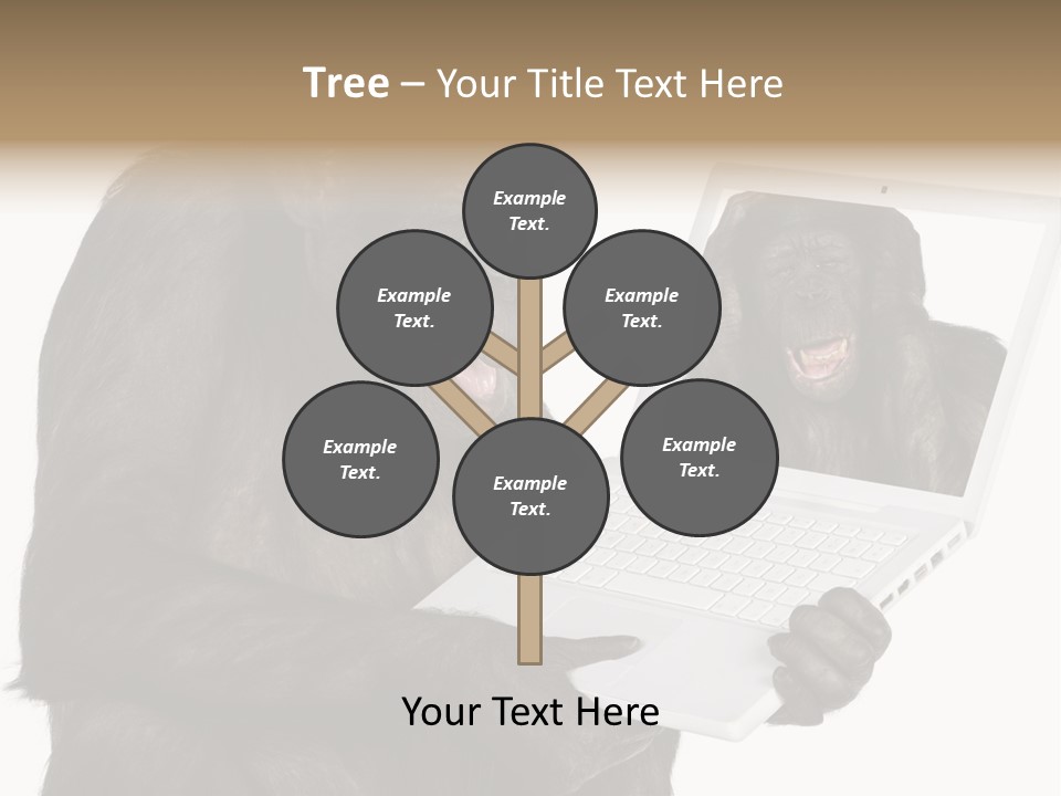 Thinking Smartness Experience PowerPoint Template