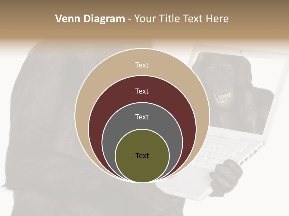 Thinking Smartness Experience PowerPoint Template