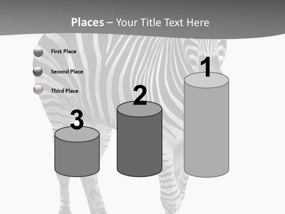 Beauty Zebra Mammal PowerPoint Template