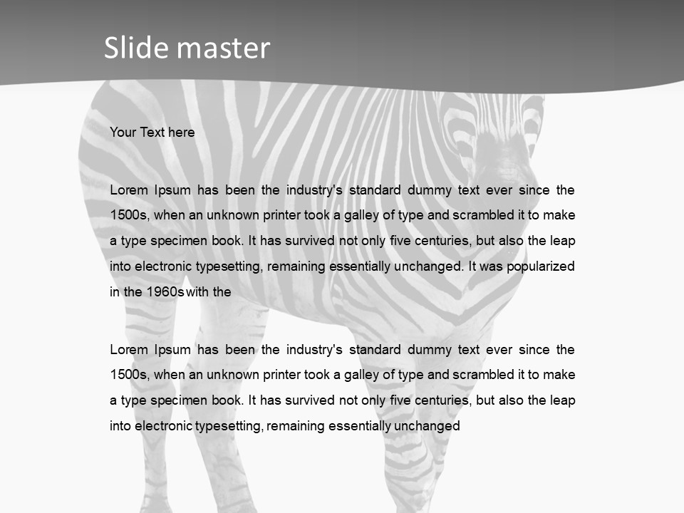 Beauty Zebra Mammal PowerPoint Template