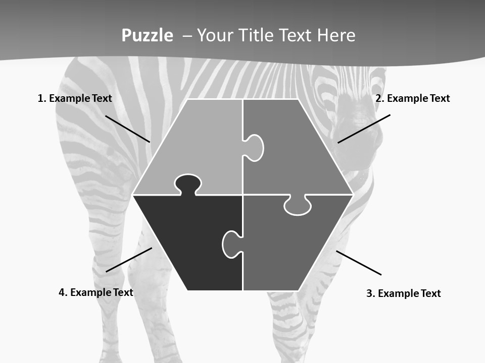 Beauty Zebra Mammal PowerPoint Template