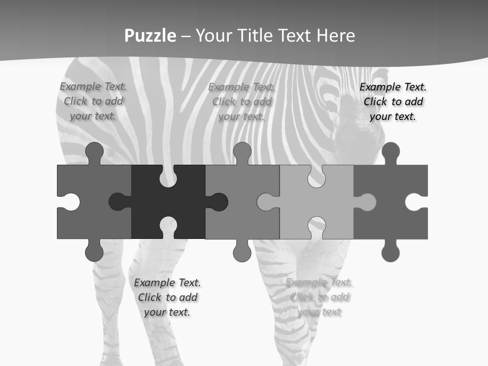 Beauty Zebra Mammal PowerPoint Template